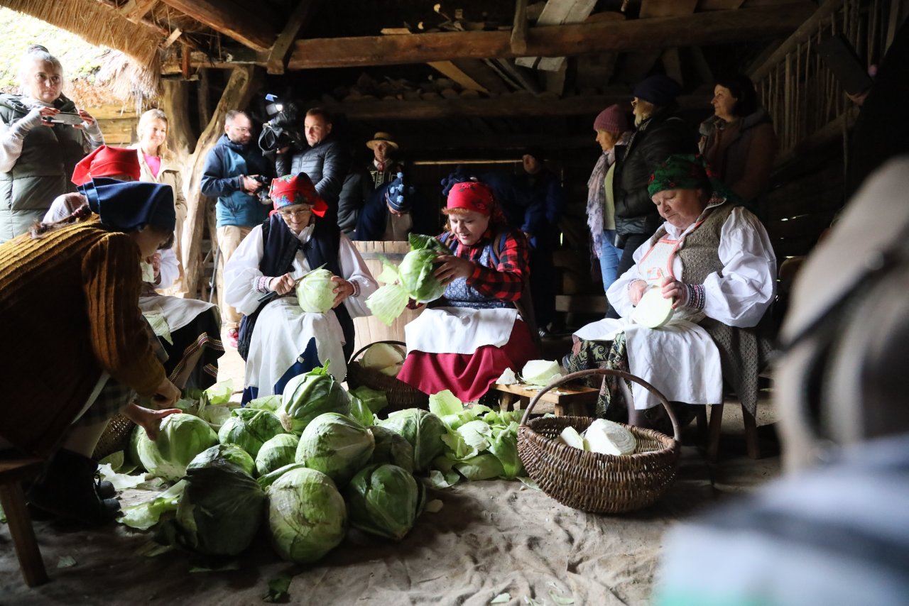 Obieraczki kapuściane w Muzeum Wsi Lubelskiej (zdjęcia)