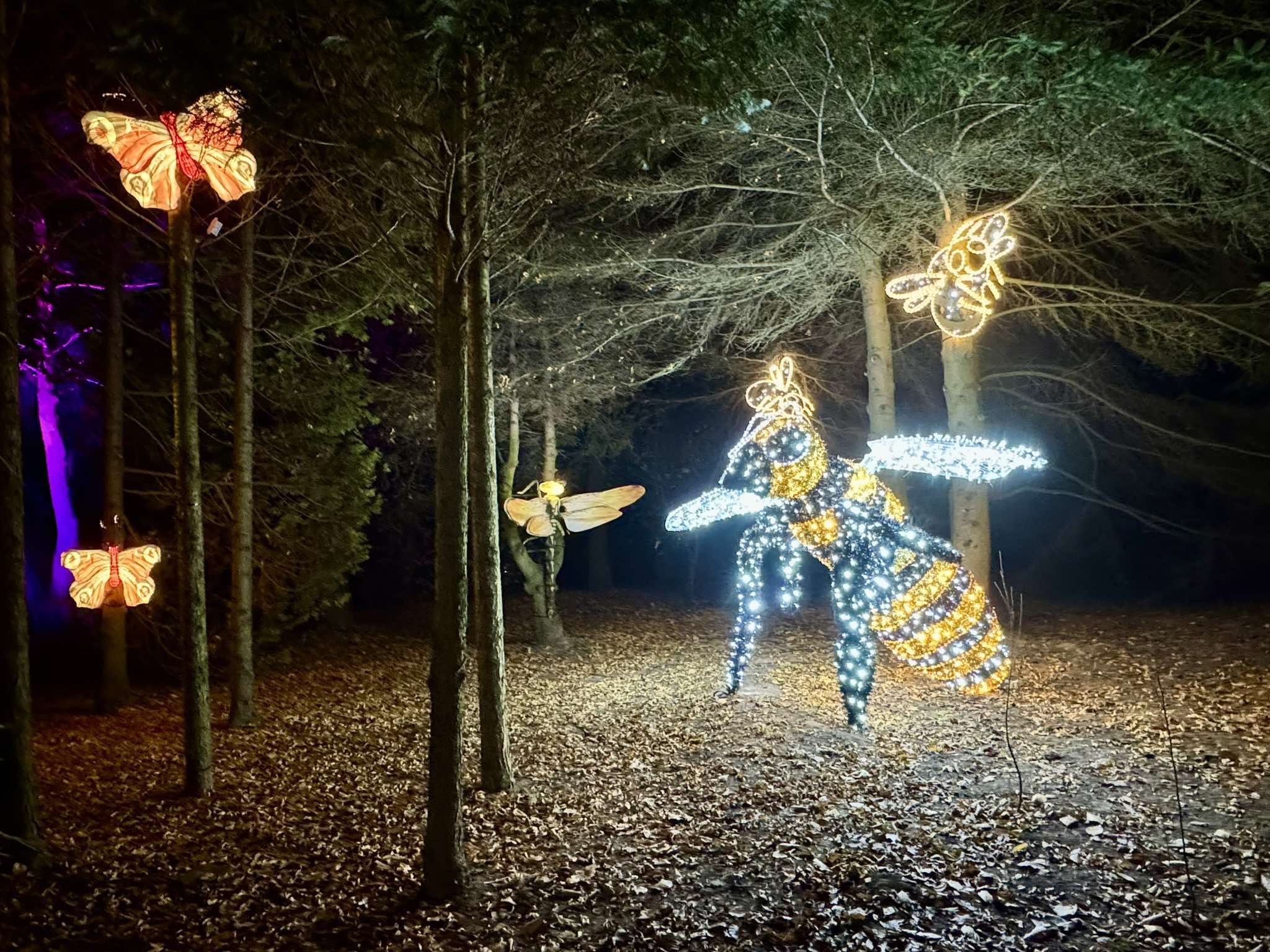 Lumina Park w nowej odsłonie. Tak pięknie jeszcze nie było (zdjęcia)