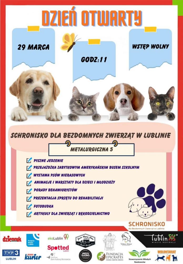 Dzień Otwarty w Schronisku dla Bezdomnych Zwierząt - 29.03.2026 r