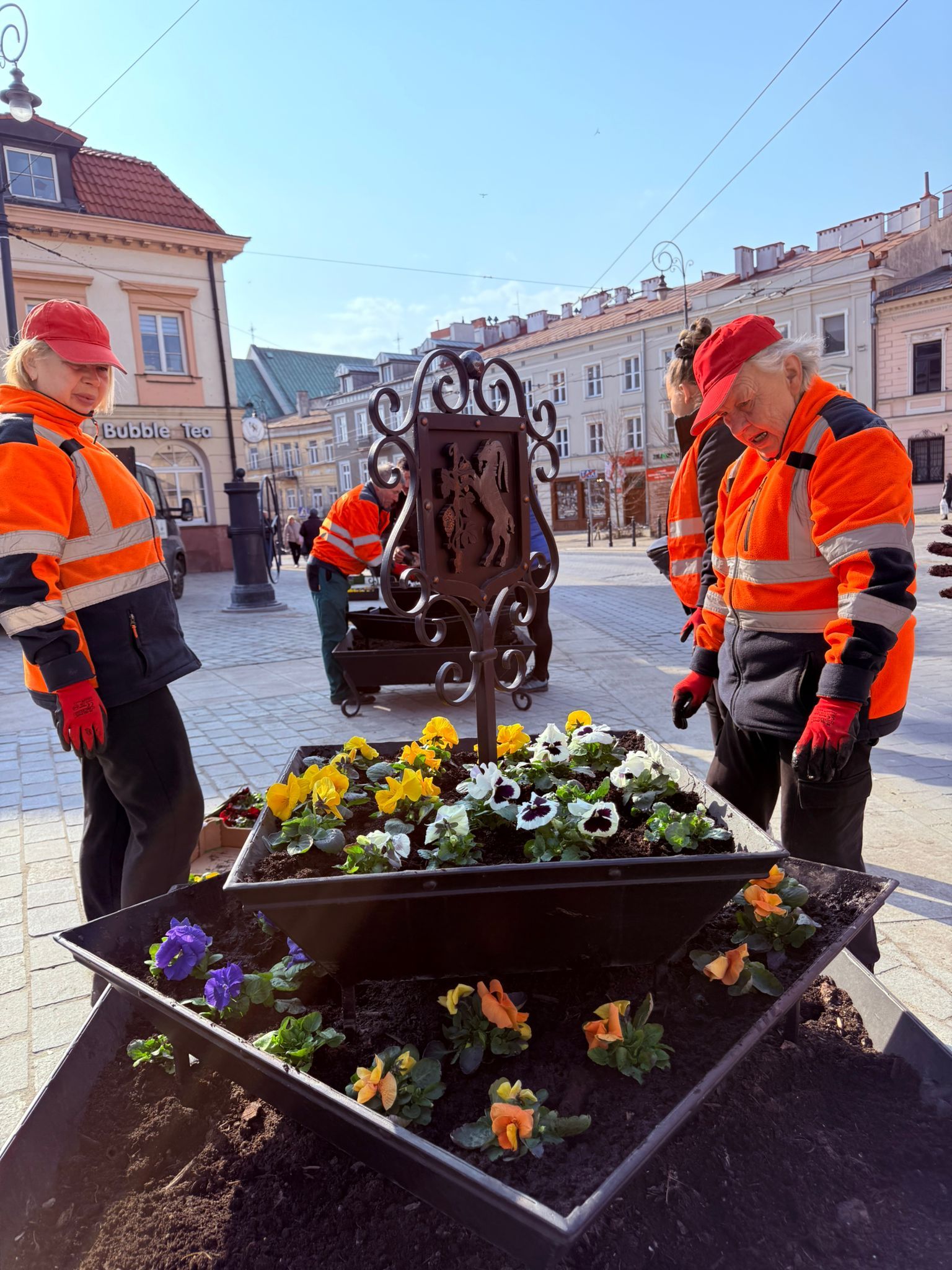 Ruszyły nasadzenia bratków. Wiosenna atmosfera w Lublinie